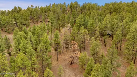 7804 E Long Bow Dr, Williams, AZ 86046 photo 11