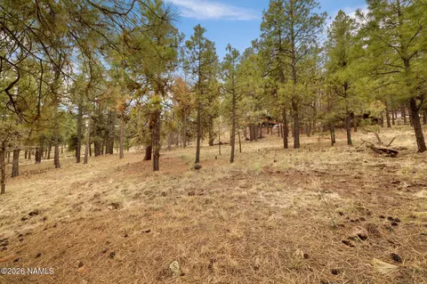 7804 E Long Bow Dr, Williams, AZ 86046 photo 7