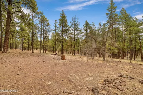 7804 E Long Bow Dr, Williams, AZ 86046 photo 3