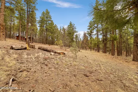7804 E Long Bow Dr, Williams, AZ 86046 photo 5