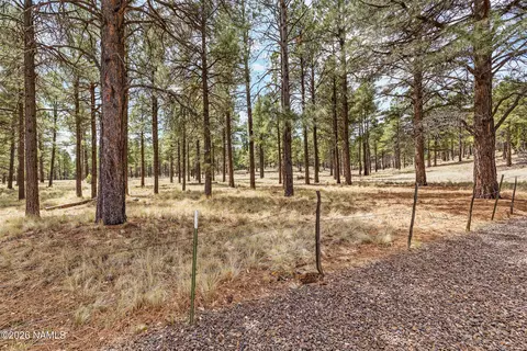 6609 Eagle Crest Dr, Flagstaff, AZ 86004 photo 40