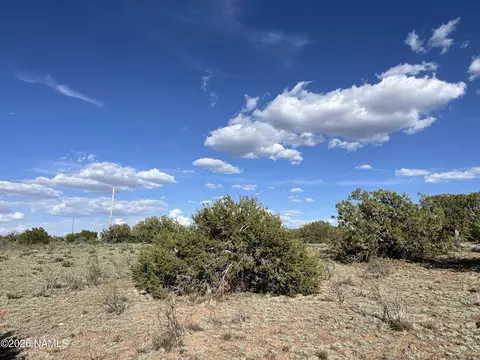 4800 Whitetail Loop, Williams, AZ 86046 photo 10