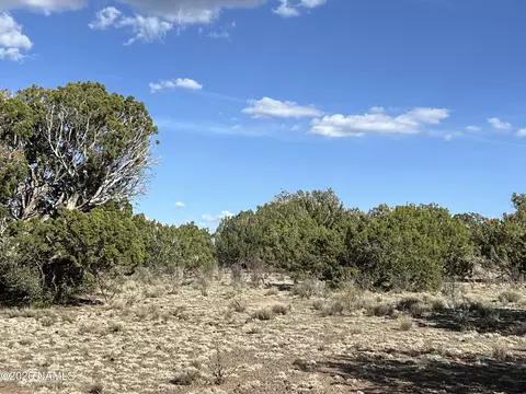 4800 Whitetail Loop, Williams, AZ 86046 photo 11