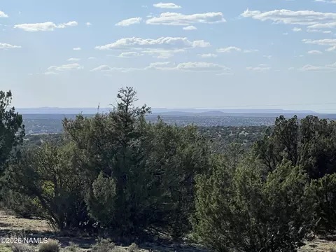 4800 Whitetail Loop, Williams, AZ 86046 photo 3
