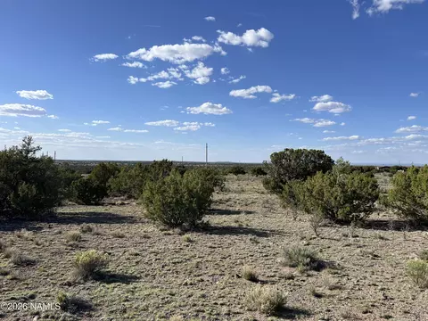 4800 Whitetail Loop, Williams, AZ 86046 photo 8