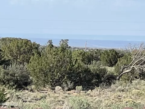 4800 Whitetail Loop, Williams, AZ 86046 photo 2