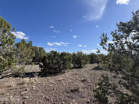 4800 Whitetail Loop, Williams, AZ 86046 photo 9