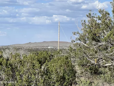 4800 Whitetail Loop, Williams, AZ 86046 photo 6