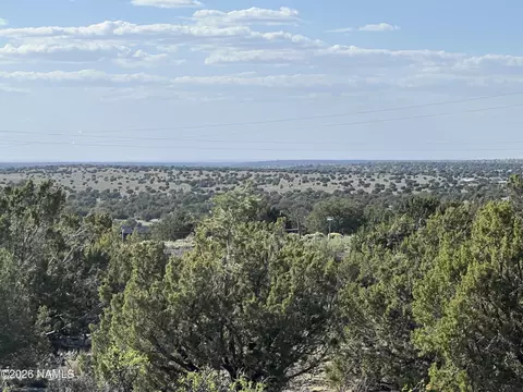 4800 Whitetail Loop, Williams, AZ 86046 photo 4