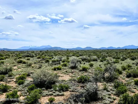 315 E Rutgers Ave, Williams, AZ 86046 photo 5