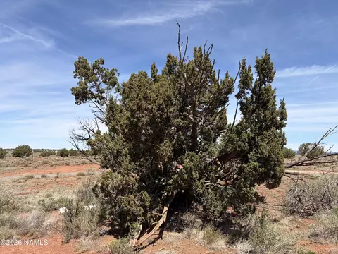 3868 Meadowbrook Dr, Williams, AZ 86046 photo 38