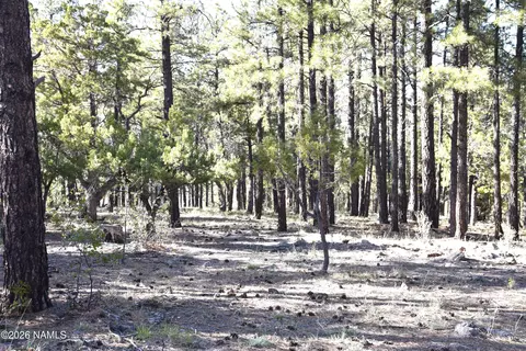 1085 Timbernook, Williams, AZ 86046