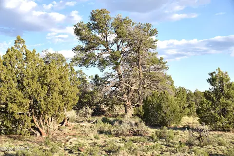 3391 E Indian Meadows Rd #44, Williams, AZ 86046