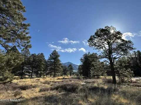 003 Hart Prairie Rd, Flagstaff, AZ 86001