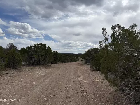 12581 N Chino Rd, Williams, AZ 86046