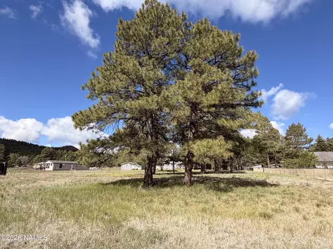 142 Anthem Dr, Williams, AZ 86046 photo 3