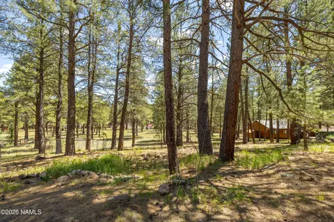 Other - 4511 Canyon Loop, Flagstaff, AZ 86005 photo 10 of 10