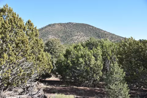 2394 E Clear Point Way #58, Williams, AZ 86046