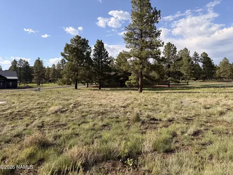 45 Anthem Dr, Williams, AZ 86046 photo 4