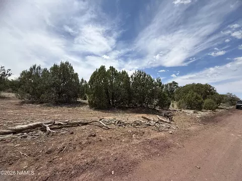 732 E Sidewinder Rd, Williams, AZ 86046