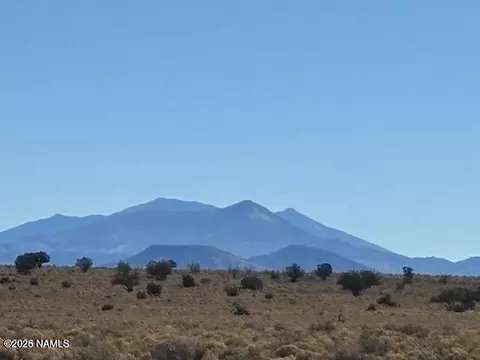 6687 S Prairie Grass Ln, Williams, AZ 86046