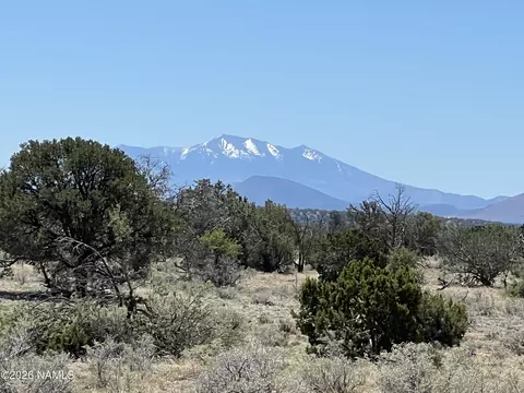 3927 Mohave Lot B 12 Acres Trl, Williams, AZ 86046