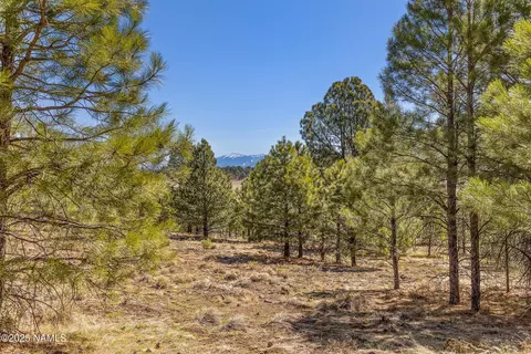 747 N Davenport Lk Rd, Williams, AZ 86046