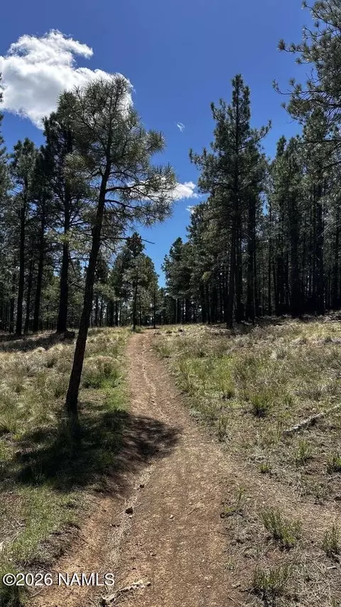 Other - 6719 Eagle Crest Dr, Flagstaff, AZ 86004 photo 12 of 12