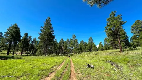 Other - 6719 Eagle Crest Dr, Flagstaff, AZ 86004 photo 11 of 12