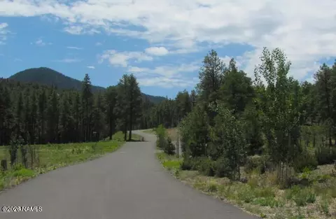 1021 Stone Hollow Loop #2, Williams, AZ 86046