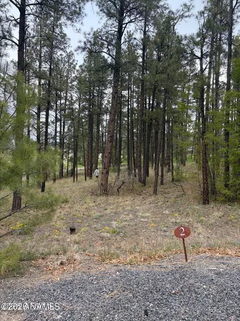 1021 Stone Hollow Loop #2, Williams, AZ 86046