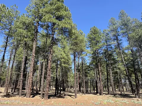 9615 Ranch At The Peaks Way, Flagstaff, AZ 86001