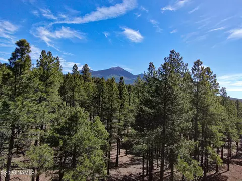 7690 W Taylor Springs Ln, Flagstaff, AZ 86001