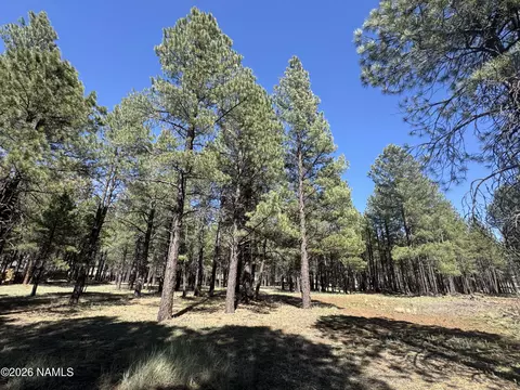 8380 Vista Peak Way, Flagstaff, AZ 86001