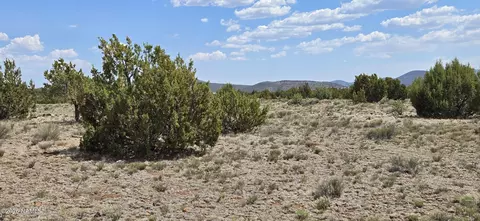 227 Mountain Cat Rd, Williams, AZ 86046 photo 6