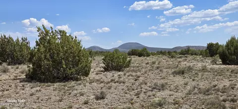 227 Mountain Cat Rd, Williams, AZ 86046 photo 3