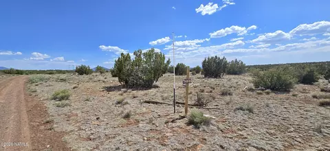 227 Mountain Cat Rd, Williams, AZ 86046 photo 8