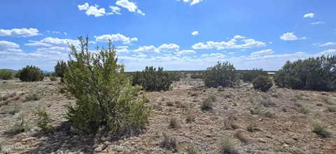 227 Mountain Cat Rd, Williams, AZ 86046 photo 11