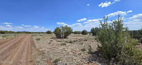 227 Mountain Cat Rd, Williams, AZ 86046 photo 12