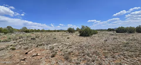 227 Mountain Cat Rd, Williams, AZ 86046 photo 4