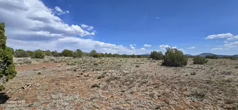 227 Mountain Cat Rd, Williams, AZ 86046 photo 2