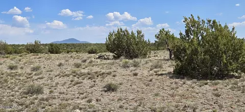 227 Mountain Cat Rd, Williams, AZ 86046 photo 5