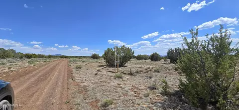 227 Mountain Cat Rd, Williams, AZ 86046 photo 13