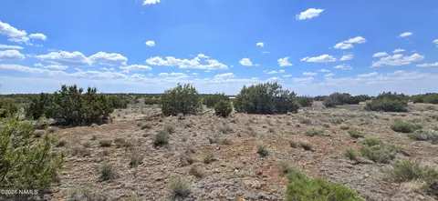 227 Mountain Cat Rd, Williams, AZ 86046 photo 10