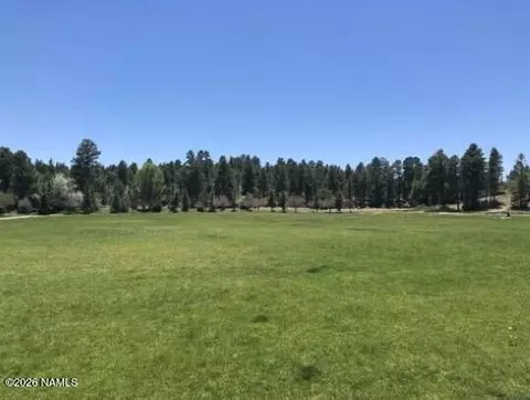 Other - 4505 E Spring Meadows Cir, Flagstaff, AZ 86004 photo 7 of 7