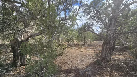 5476 N Forest Line Rd, Williams, AZ 86046