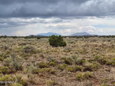 3975 E Silver Valley Rd, Williams, AZ 86046