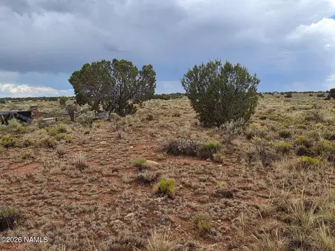 3975 E Silver Valley Rd, Williams, AZ 86046 photo 7