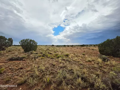 3975 E Silver Valley Rd, Williams, AZ 86046 photo 3