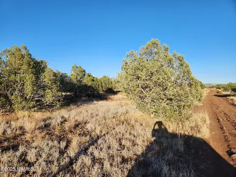 3405 W Pinto Dr, Ash Fork, AZ 86320 photo 3